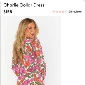 SMYM Charlie dress NWT- Size Small